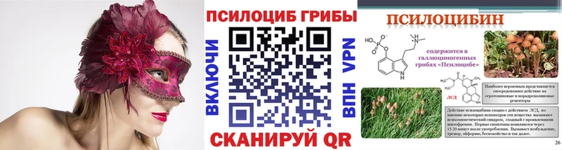 mega рабочий сайт  Долгопрудный  Галлюциногенные грибы Psilocybine cubensis 
