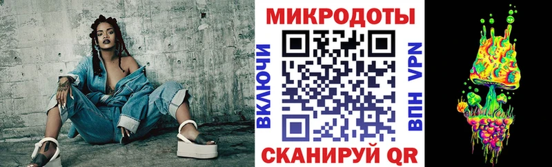 Псилоцибиновые грибы Psilocybe Долгопрудный