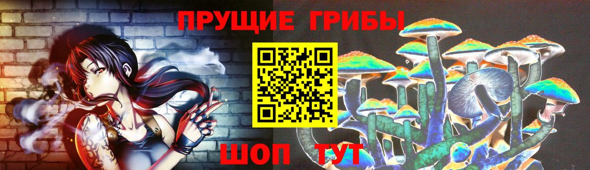 Псилоцибиновые грибы GOLDEN TEACHER  Галлюциногенные грибы MAGIC MUSHROOMS  Долгопрудный  Вход с VPN 