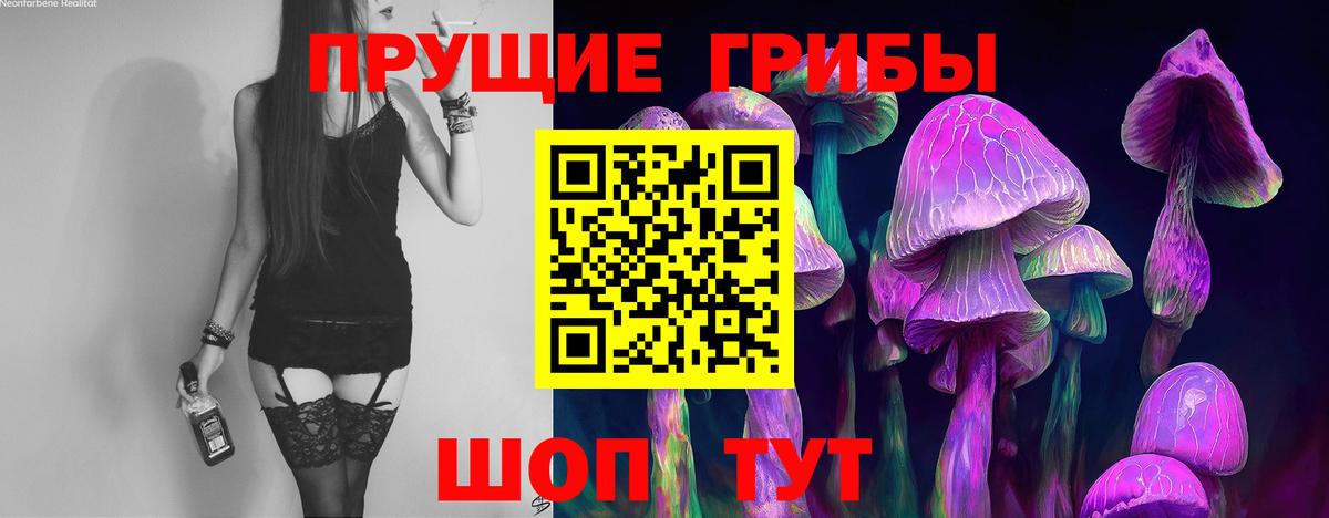 Псилоцибиновые грибы MAGIC MUSHROOMS Долгопрудный