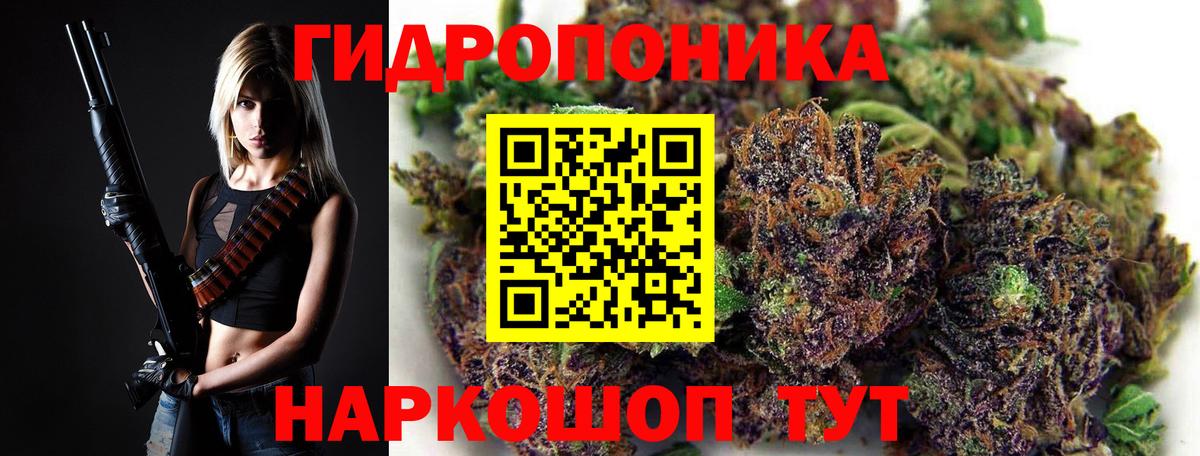 Конопля гибрид Долгопрудный